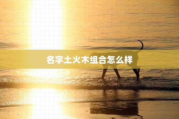 名字土火木组合怎么样