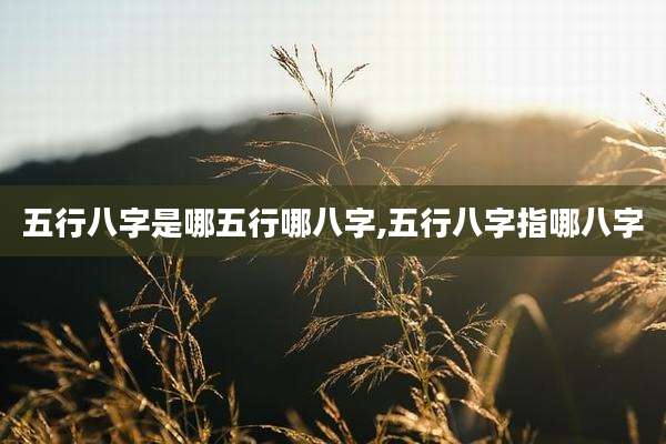 五行八字是哪五行哪八字,五行八字指哪八字