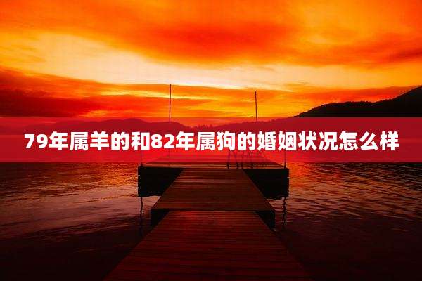 79年属羊的和82年属狗的婚姻状况怎么样