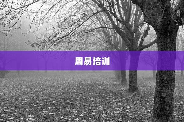 周易培训