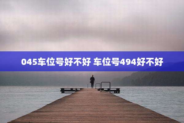 045车位号好不好 车位号494好不好