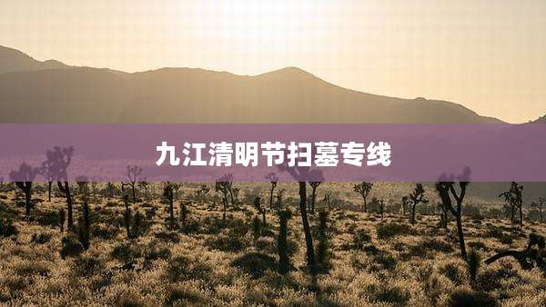 九江清明节扫墓专线