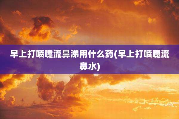 早上打喷嚏流鼻涕用什么药(早上打喷嚏流鼻水)