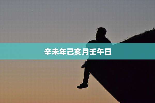 辛未年己亥月壬午日