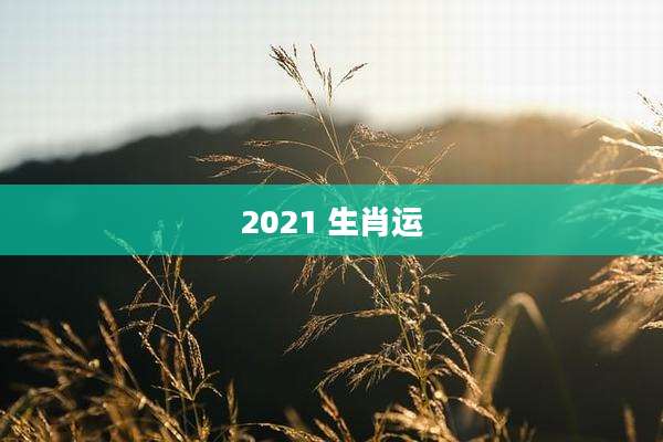 2021 生肖运