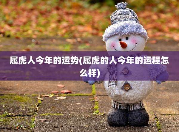 属虎人今年的运势(属虎的人今年的运程怎么样)