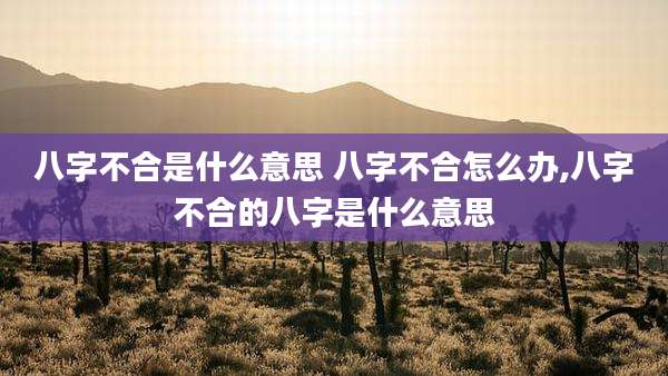 八字不合是什么意思 八字不合怎么办,八字不合的八字是什么意思