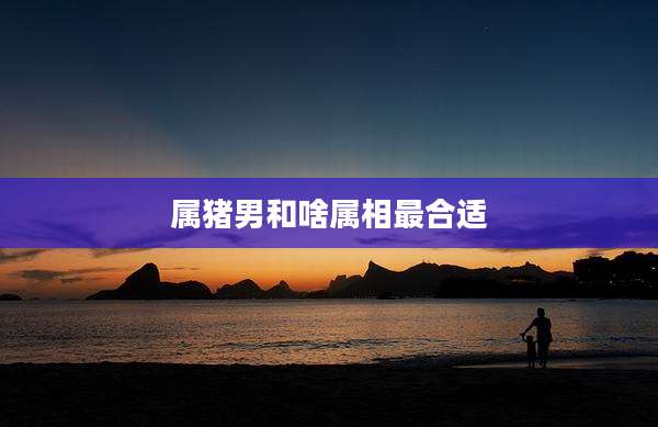属猪男和啥属相最合适