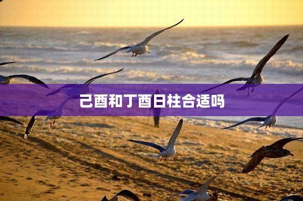 己酉和丁酉日柱合适吗