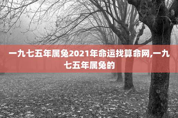 一九七五年属兔2021年命运找算命网,一九七五年属兔的
