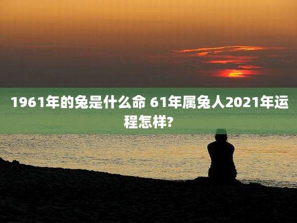 1961年的兔是什么命 61年属兔人2021年运程怎样?