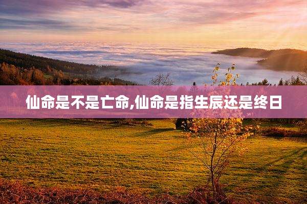 仙命是不是亡命,仙命是指生辰还是终日
