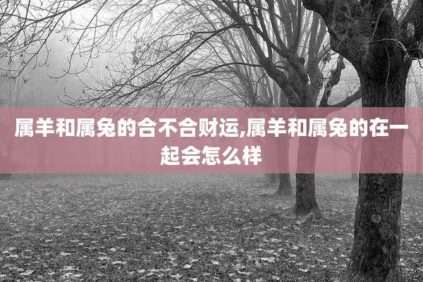 属羊和属兔的合不合财运,属羊和属兔的在一起会怎么样