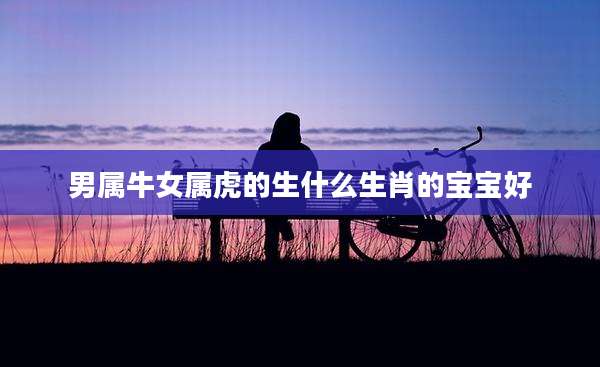 男属牛女属虎的生什么生肖的宝宝好