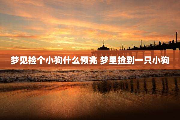 梦见捡个小狗什么预兆 梦里捡到一只小狗