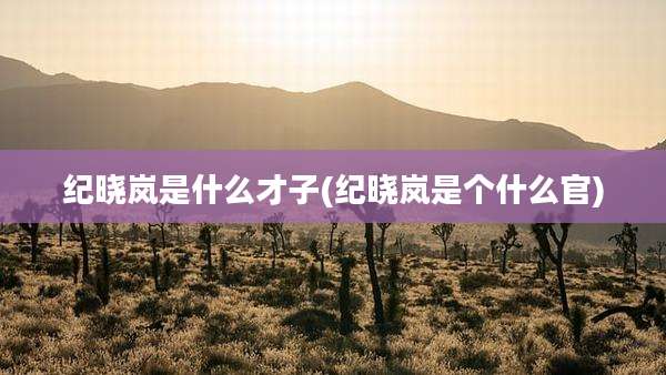 纪晓岚是什么才子(纪晓岚是个什么官)