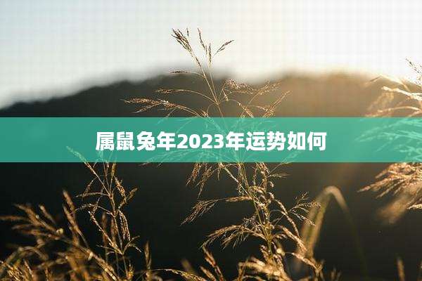 属鼠兔年2023年运势如何