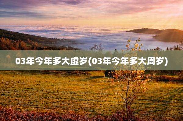 03年今年多大虚岁(03年今年多大周岁)