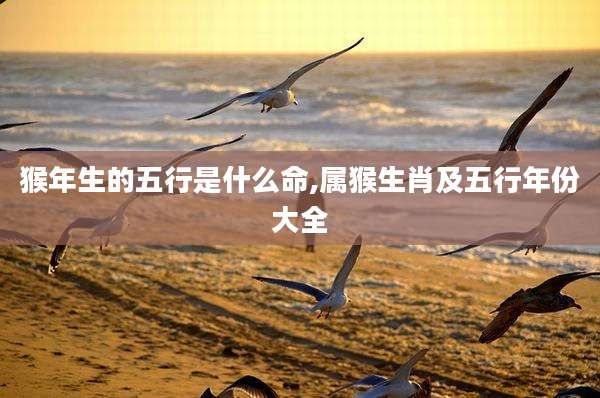 猴年生的五行是什么命,属猴生肖及五行年份大全