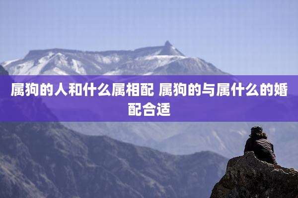 属狗的人和什么属相配 属狗的与属什么的婚配合适