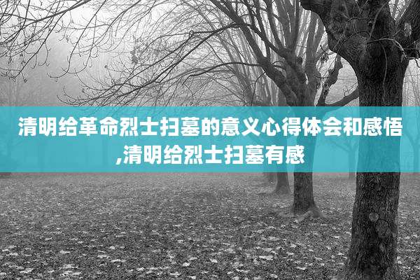 清明给革命烈士扫墓的意义心得体会和感悟,清明给烈士扫墓有感