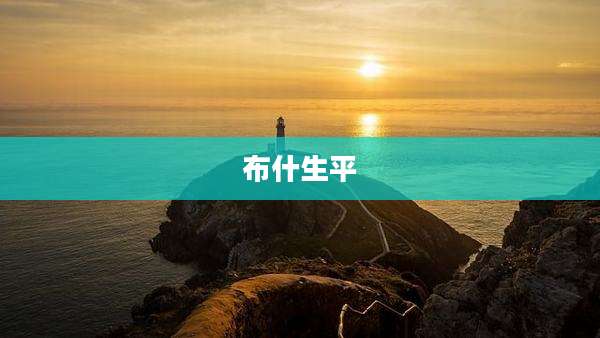 布什生平
