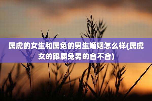 属虎的女生和属兔的男生婚姻怎么样(属虎女的跟属兔男的合不合)