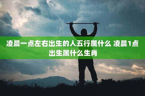 凌晨一点左右出生的人五行属什么 凌晨1点出生属什么生肖