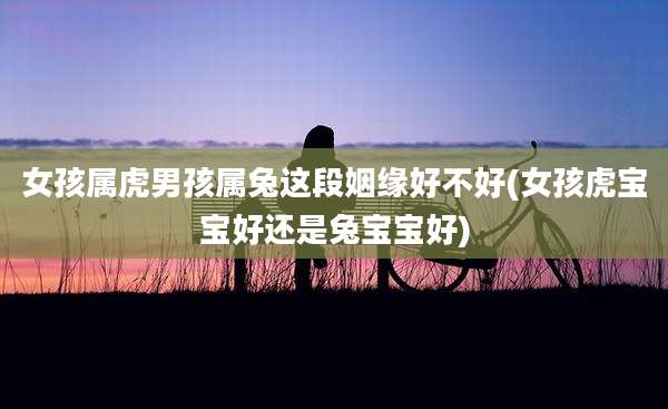 女孩属虎男孩属兔这段姻缘好不好(女孩虎宝宝好还是兔宝宝好)