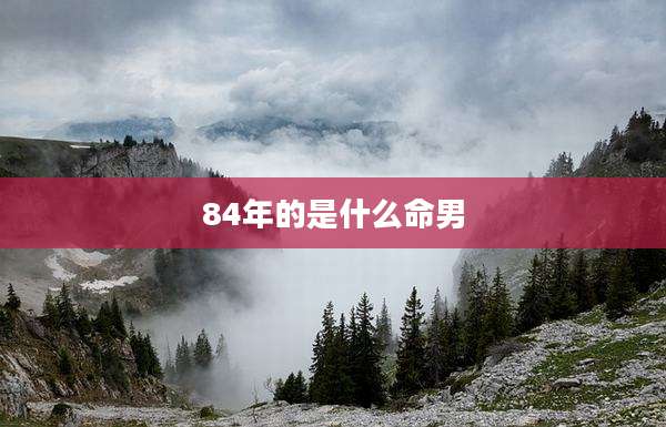 84年的是什么命男