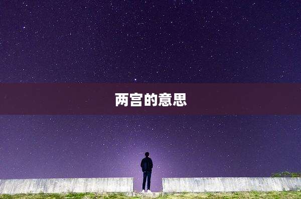 两宫的意思