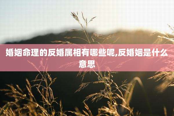 婚姻命理的反婚属相有哪些呢,反婚姻是什么意思