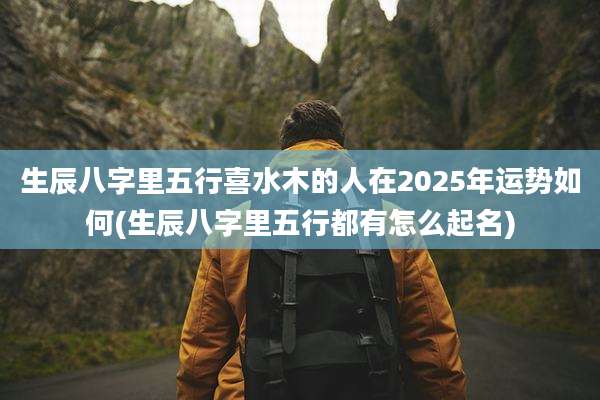 生辰八字里五行喜水木的人在2025年运势如何(生辰八字里五行都有怎么起名)