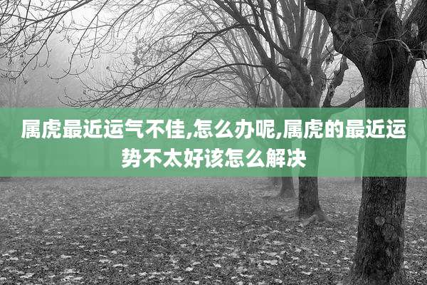 属虎最近运气不佳,怎么办呢,属虎的最近运势不太好该怎么解决