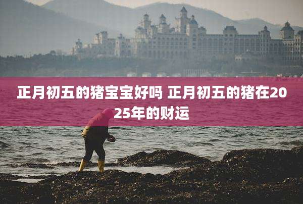 正月初五的猪宝宝好吗 正月初五的猪在2025年的财运
