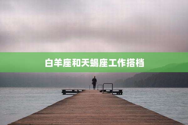 白羊座和天蝎座工作搭档