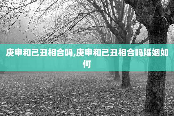 庚申和己丑相合吗,庚申和己丑相合吗婚姻如何