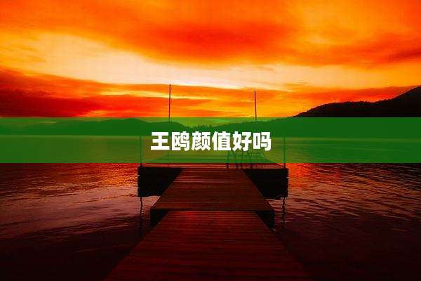 王鸥颜值好吗