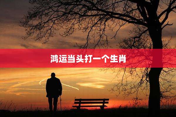 鸿运当头打一个生肖