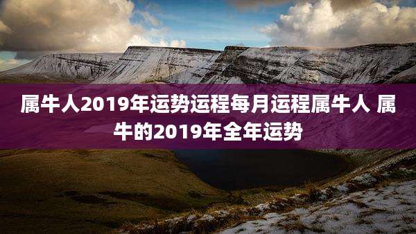 属牛人2019年运势运程每月运程属牛人 属牛的2019年全年运势