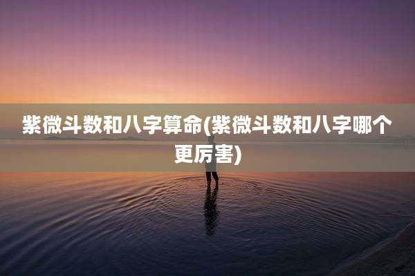 紫微斗数和八字算命(紫微斗数和八字哪个更厉害)