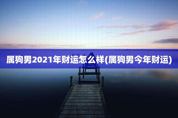 属狗男2021年财运怎么样(属狗男今年财运)