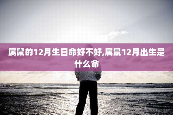 属鼠的12月生日命好不好,属鼠12月出生是什么命