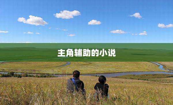 主角辅助的小说