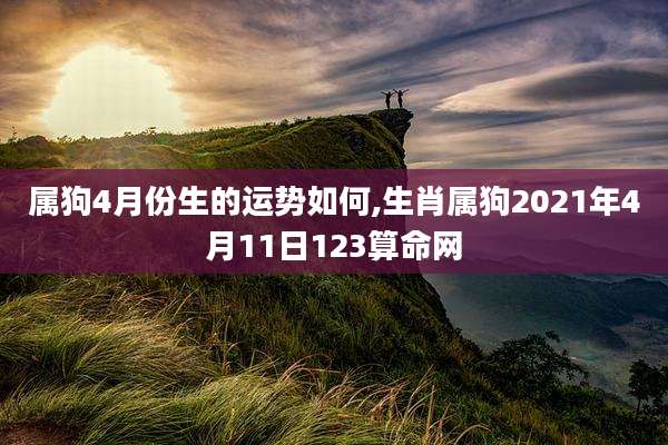 属狗4月份生的运势如何,生肖属狗2021年4月11日123算命网