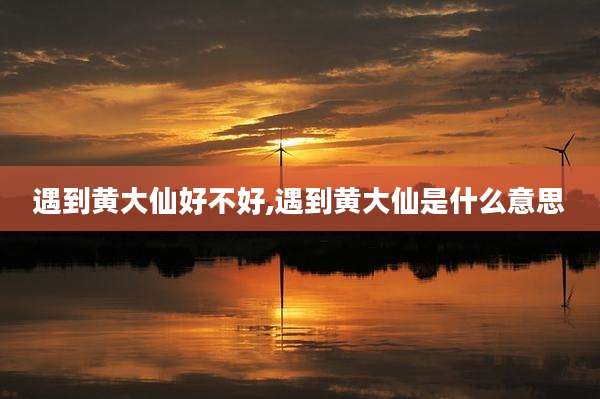遇到黄大仙好不好,遇到黄大仙是什么意思