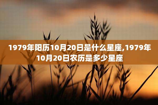 1979年阳历10月20日是什么星座,1979年10月20日农历是多少星座