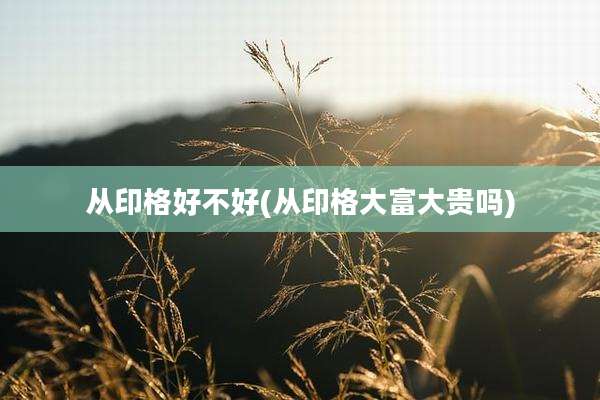 从印格好不好(从印格大富大贵吗)