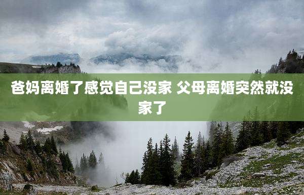 爸妈离婚了感觉自己没家 父母离婚突然就没家了