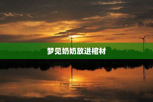 梦见奶奶放进棺材